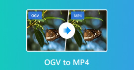 Ogv To Mp4