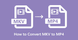 Best Way to Convert MKV to MP4