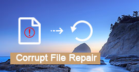 Corrupted File Repair