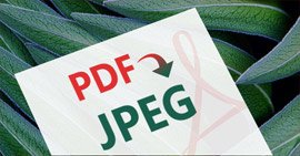 PDF to JPEG