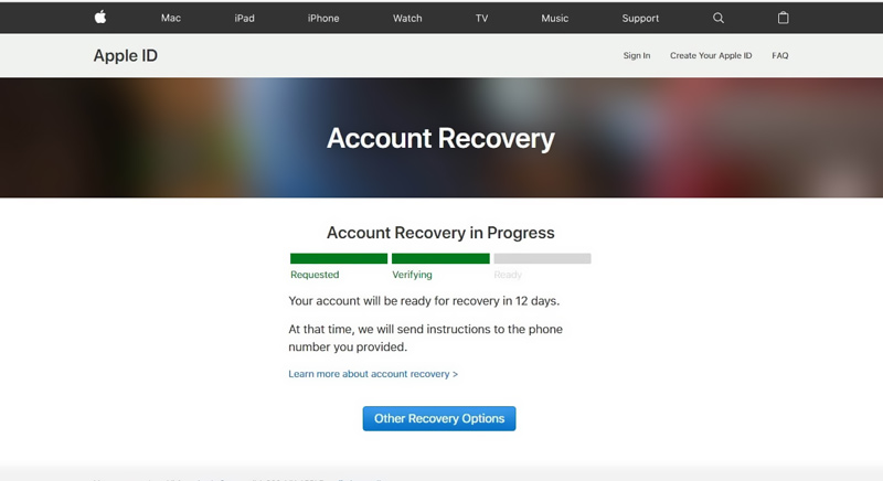 Apple ID Recovery Status