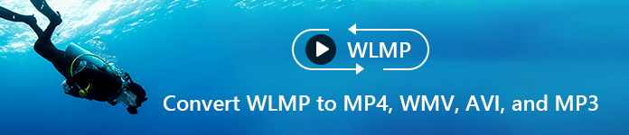 convert wlmp files fast