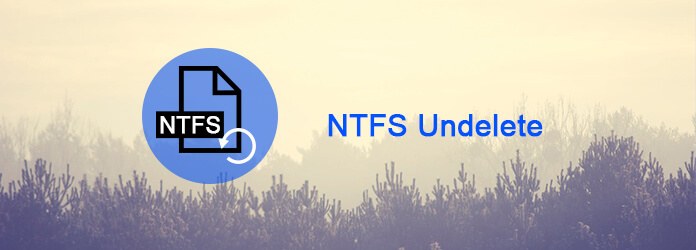 ntfs undelete license key information