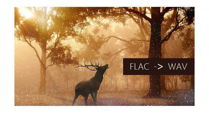 how to convert flac to wav in musicee