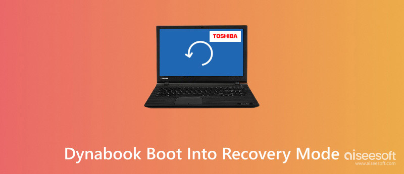 Dynabook Boot Into Recovery Mode