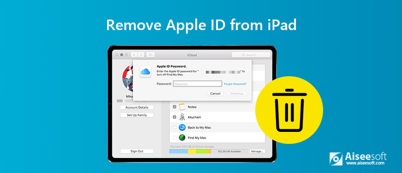 erase ipad forgot apple id password