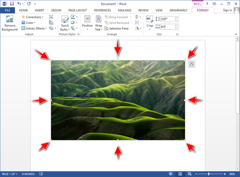 Tips Tricks On How To Resize A Picture In Word Quickly