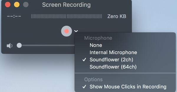 stop screenflow recording