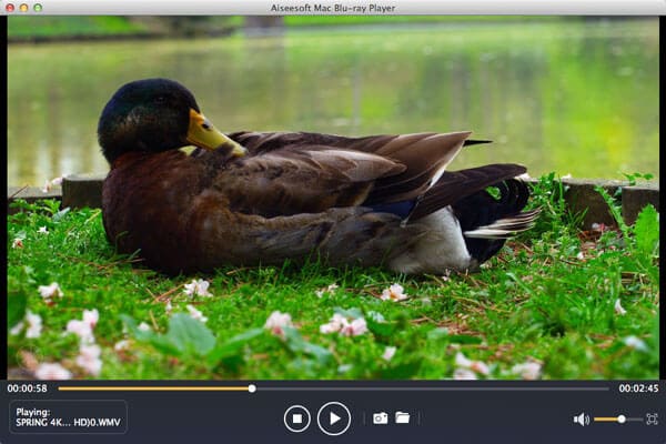 video player for avi files mac