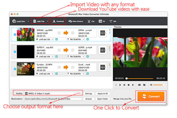 video formats for mac and