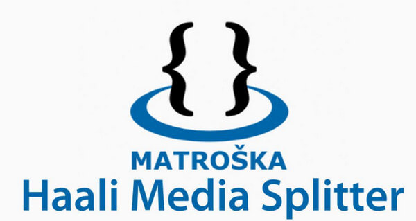 matroska video codec download