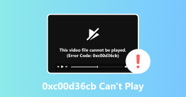 0xc00d36cb Cannot Play