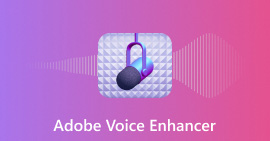 Adobe Voice Enhancer