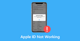Apple ID不起作用