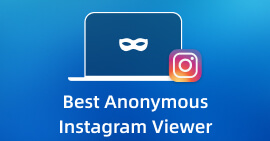 最佳匿名 Instagram 查看器