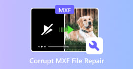 损坏的 MXF 文件修复