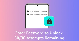 Enter Password to Unlock 30 Attempts remaining