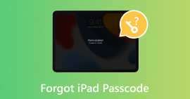 忘记iPad密码
