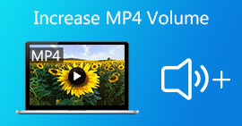 Increase MP4 Volume