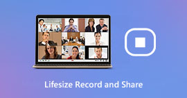 以Lifesize录制和共享视频通话或会议