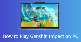 在 PC 上玩 Genshin Impact