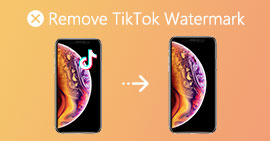 tiktok remove watermark ios