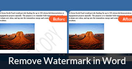 helpndoc how to remove watermark