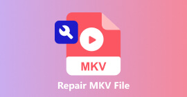 Repair MKV Files