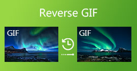 反转 GIF - 如何反转 GIF 和向后播放 GIF