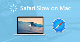 Risolvi Safari che funziona lentamente su Mac