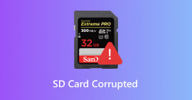 Sd Card Corrupted