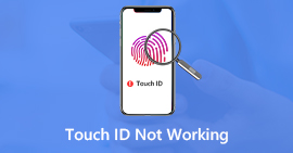 mac os big sur touch id not working