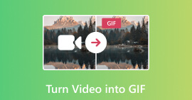 将视频转换成GIF