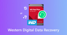 Western Digital Data Recovery