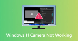 Windows 11 Camera Not Working