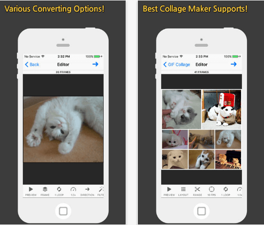You should download this insanely fun GIF making app for iPhone right now -  The Verge