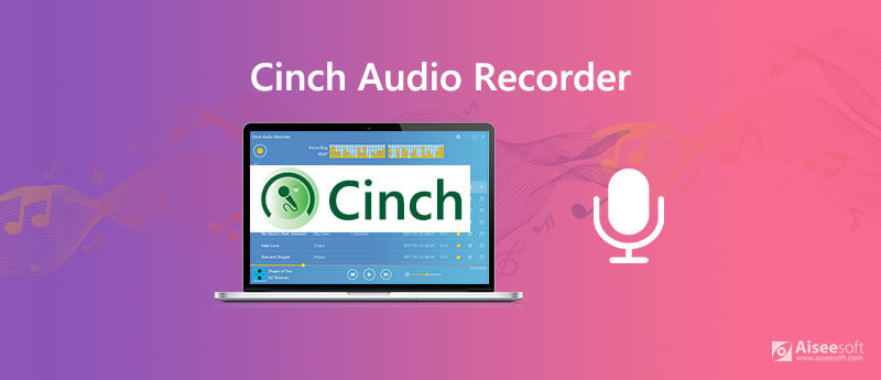 cinch audio recorder settings split