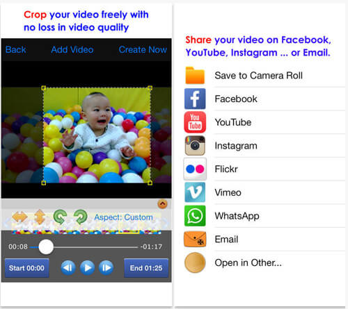 online video crop no watermark