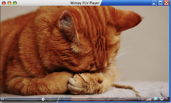 best free flv player for windows 10