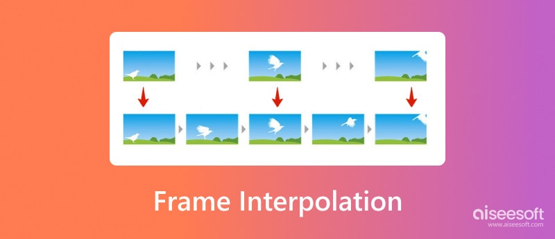 Frame Interpolation