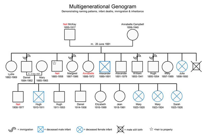 genogram maker review free