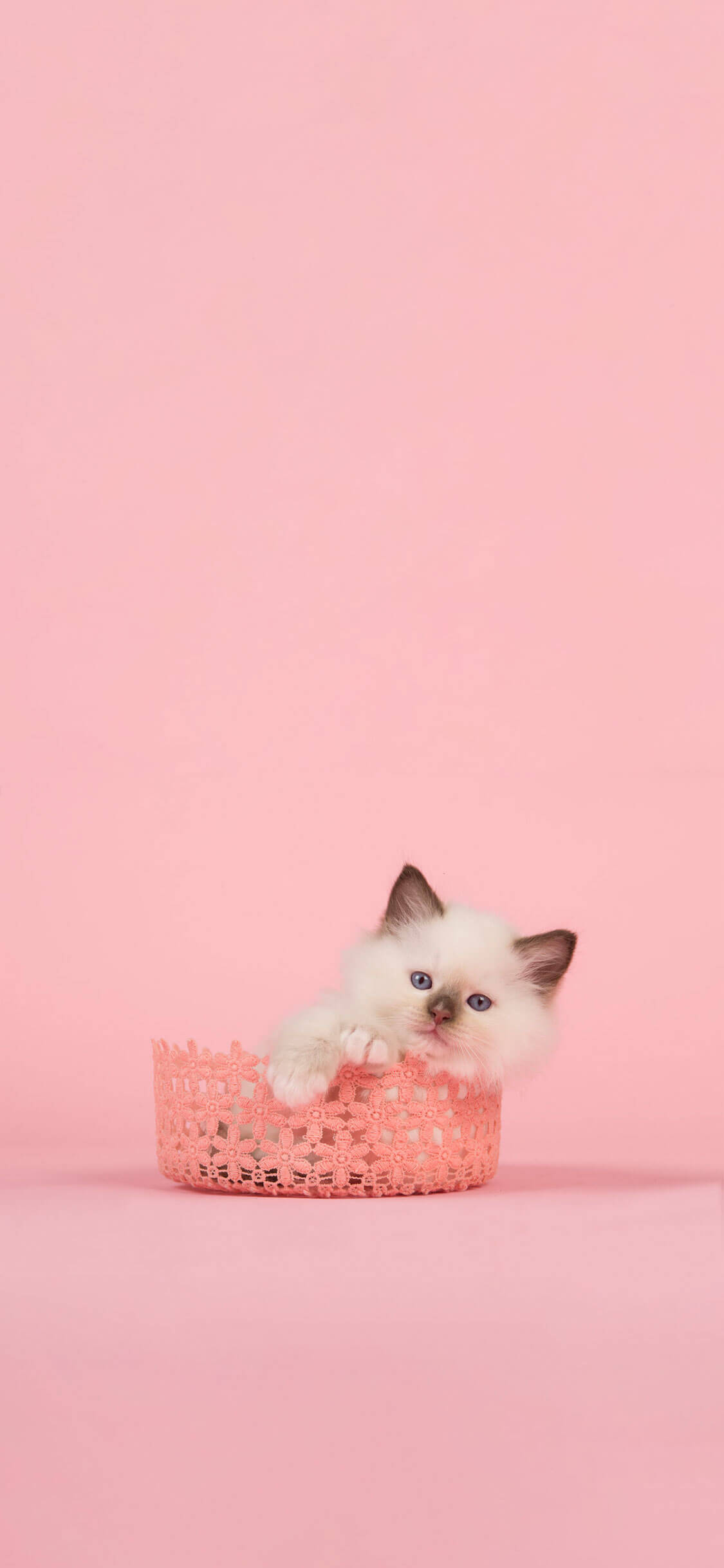 cute pink wallpaper for iphone