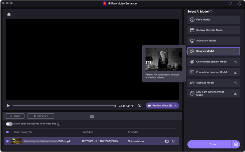 Hitpaw Video Enhancer Colorize Model