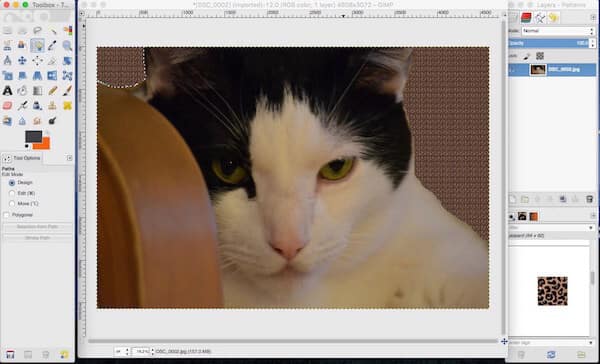 photoshop program like gimp for mac