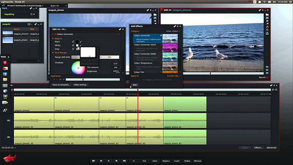best youtube editing software for windows and mac