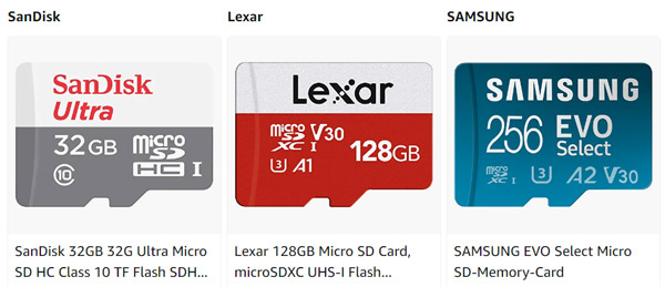 SanDisk TF Card Lexar Micro SD Card