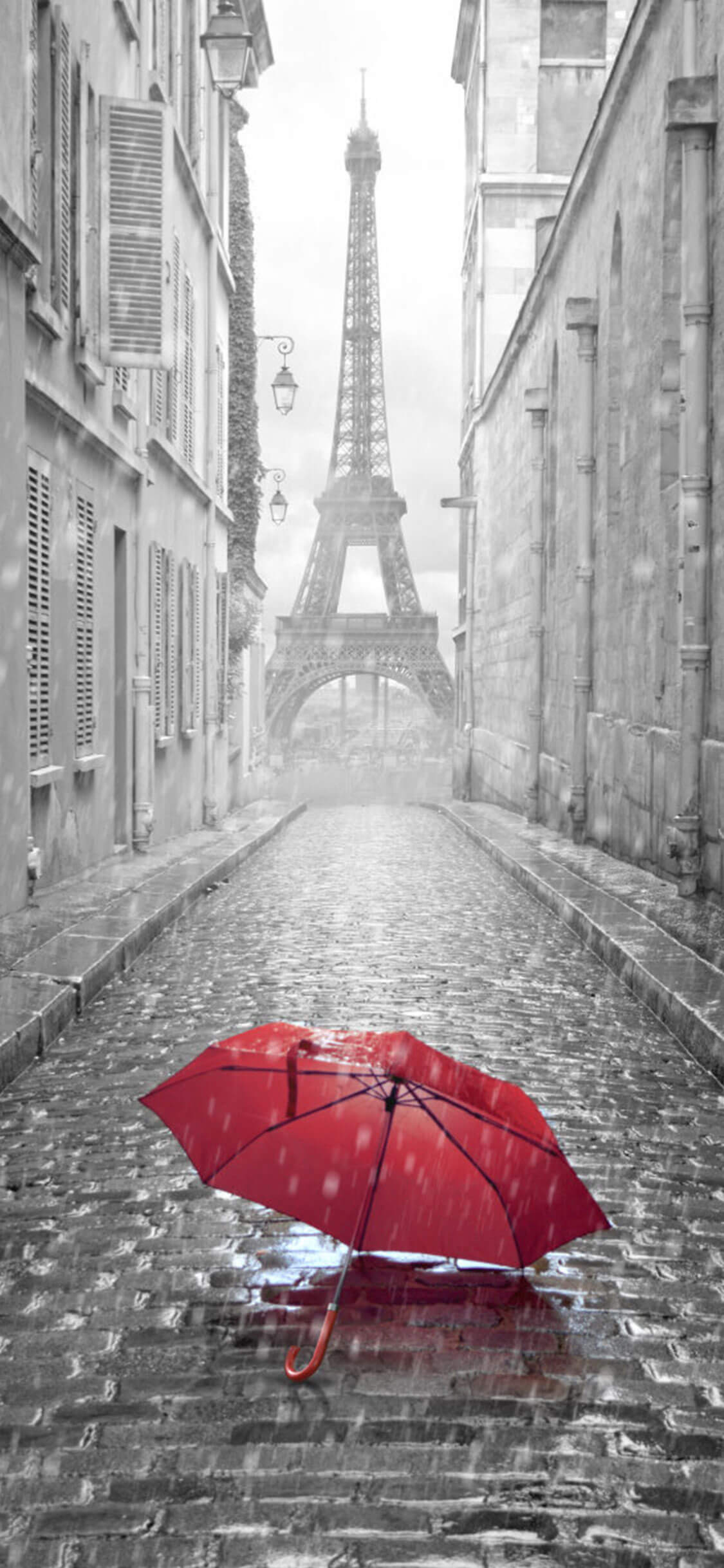 红伞.jpg