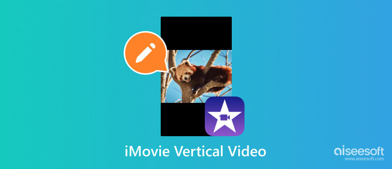 Free Vertical Videos Download: 9:16 Vertical clips