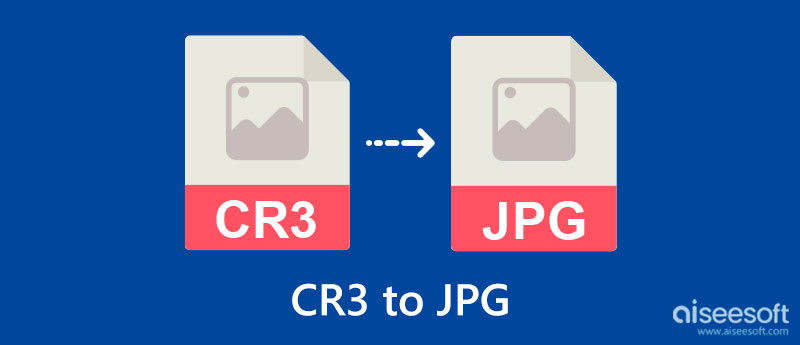 CR3 To JPG Best Options To Convert CR3 Files Into JPG