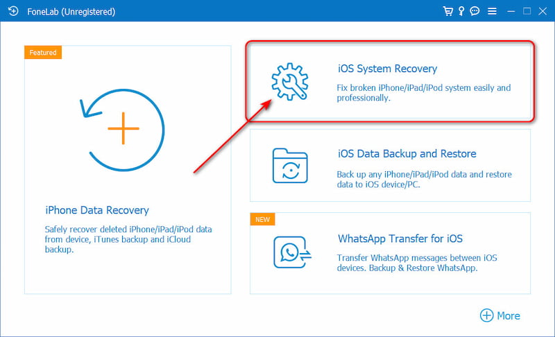 Click IOS System Recovery